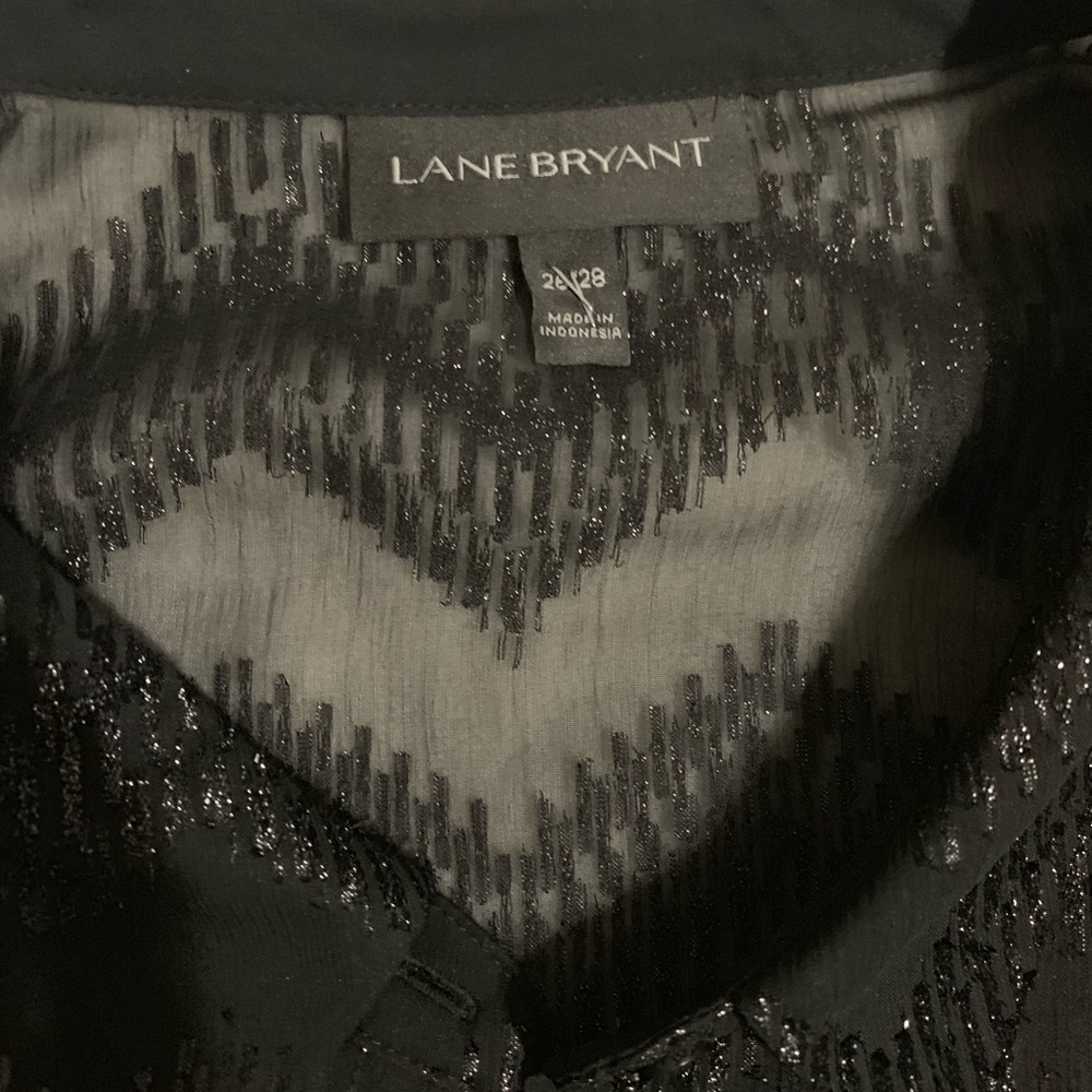 Stunning sheer blouse by Lane Bryant